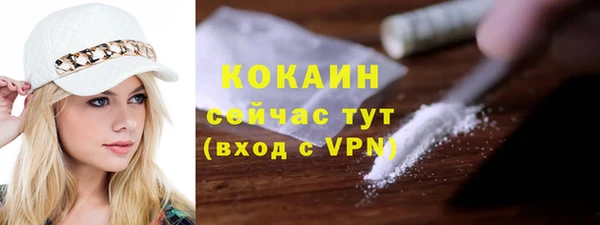 твердый Алексин
