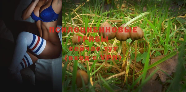 круглые Алексеевка