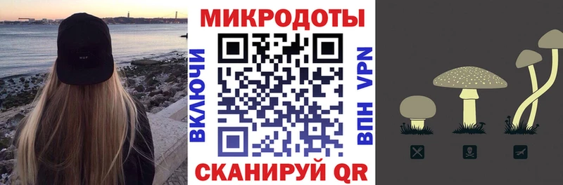 купить   Любань  hydra как войти  Псилоцибиновые грибы ЛСД 